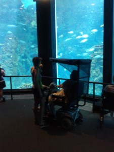 IMG_20120706_175419 (1)