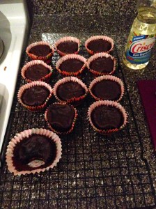 Cupcake Disaster